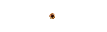 LOGO SPVTOTO